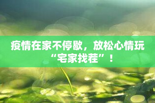 疫情在家不停歇，放松心情玩“宅家找茬”！